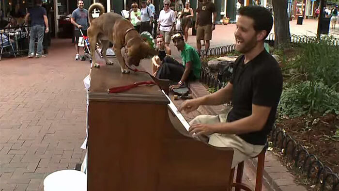 L'incroyable voyage de Dotan Negrin et de son piano